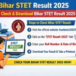 bihar stet result 2025